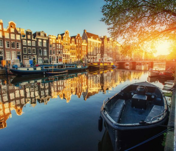Why Netherlands VPS Hosting is Gaining Popularity Among Global Businesses